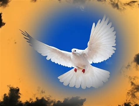 The Historical Importance of Airborne Doves as Messengers