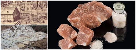 The Historical Significance of Salt in Various Cultures