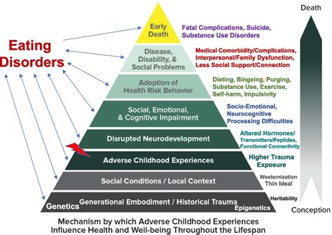 The Impact of Childhood Experiences on Dreams depicting a Sense of Betrayal