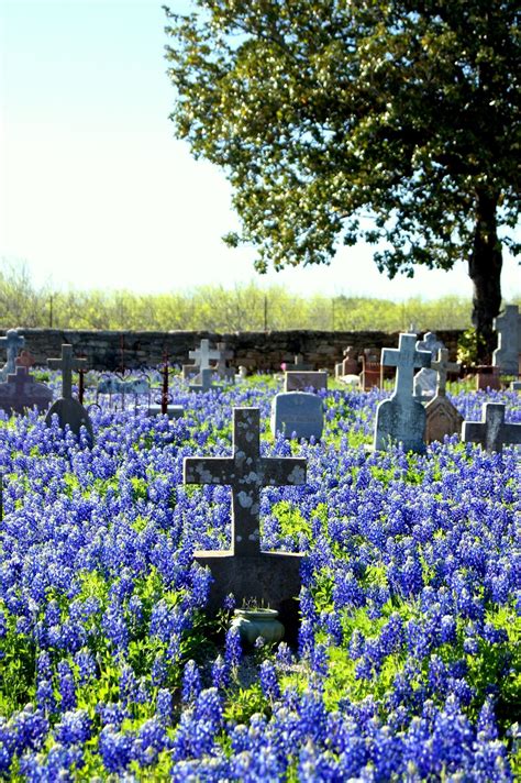 The Impact of Cultural and Personal Beliefs on Dreams in Graveyards after Dark