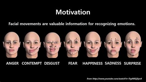 The Impact of Facial Expressions on Dream Analysis