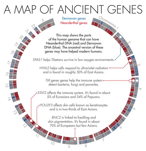 The Impact of Genetic Testing: Unearthing a World of Unknown Kinship