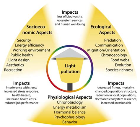 The Impact of Illumination on Altering Your Surroundings