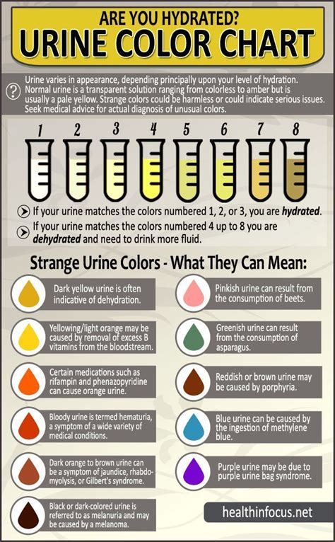 The Impact of Medications and Supplements on Urine Color