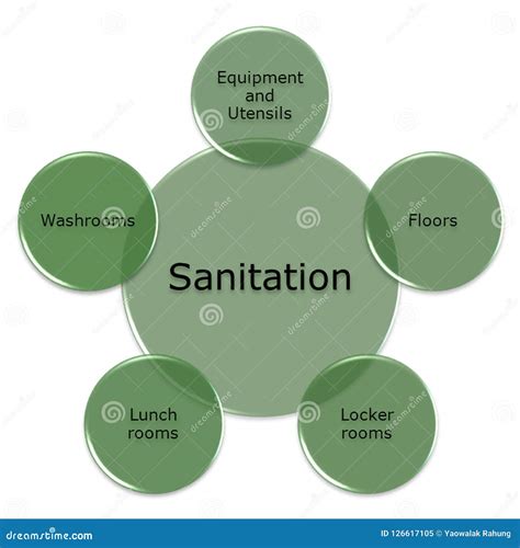The Impact of Psychological Factors on Dreams Involving Sanitary Facilities