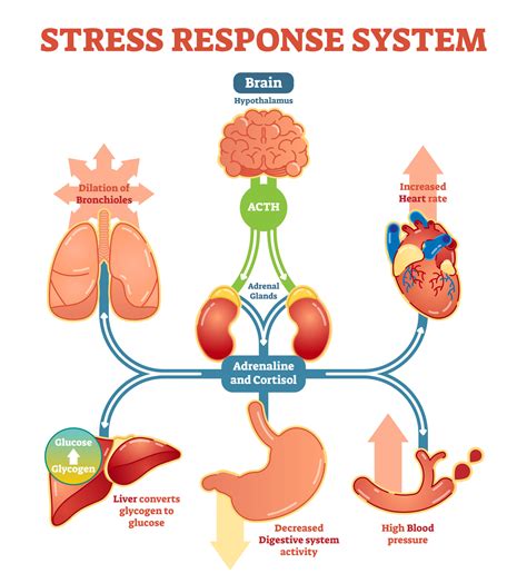 The Impact of Stress on the Creation of Nightmares during Significant Dates