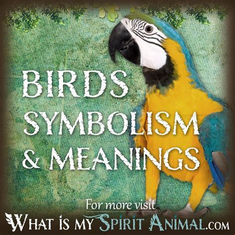 The Importance of Avian Symbolism in Dream Interpretation