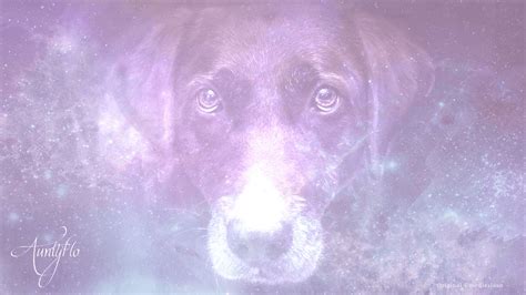 The Importance of Canine Presence in Dreams