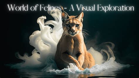 The Importance of Felines in Dream World: Immersive Exploration