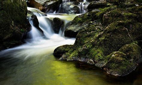 The Importance of Flowing Streams in Dream Interpretation