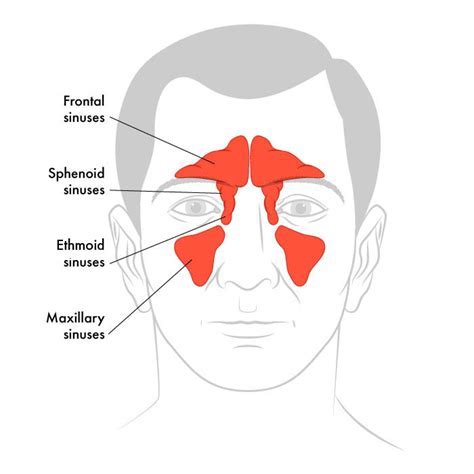 The Importance of Nasal-Cleansing Motions in Decoding Dream Meanings