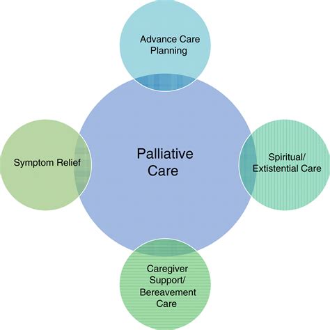 The Importance of Palliative Care in Achieving a Serene Transition