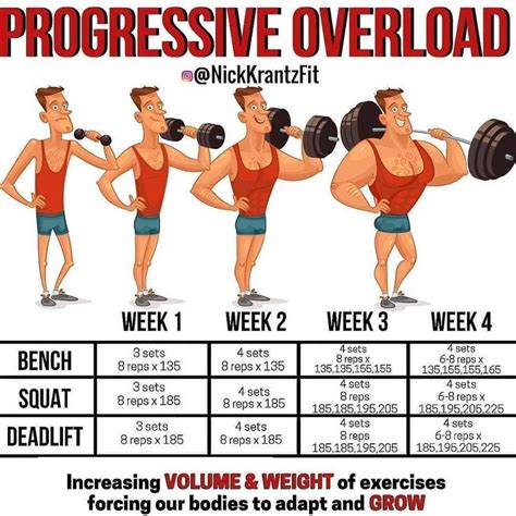 The Importance of Progressive Overload in Enhancing Arm Muscles