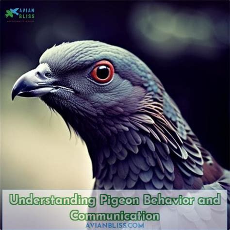 The Importance of Trust and Communication in Avian Travel