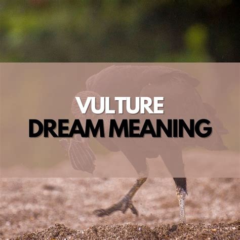 The Importance of Vultures in Dreams