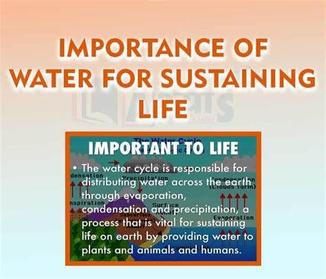 The Importance of Water as a Vital Source of Life and Sustenance