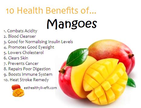 The Important Role of the Azure Mango in Traditional Healing