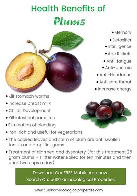 The Incredible Health Benefits of Plum