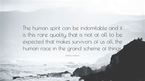 The Indomitable Human Spirit: Stories of Survival Amidst Desolation