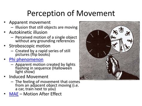 The Influence of Deliberate Movement Perception in Your Everyday Experiences