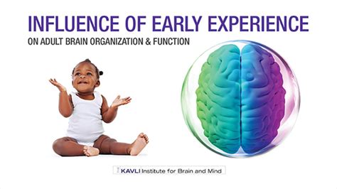 The Influence of Early Life Experiences on the Adult Mind