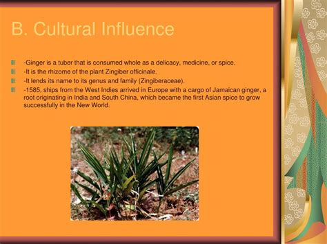 The Influence of Ginger Ally on the Cultural Landscape