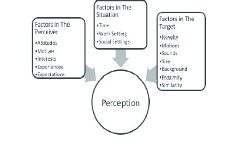 The Influence of Perception: Diverse Interpretations of Unclean Documents in Dreams
