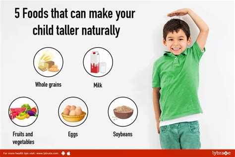 The Influence of Proper Nutrition on Height Development