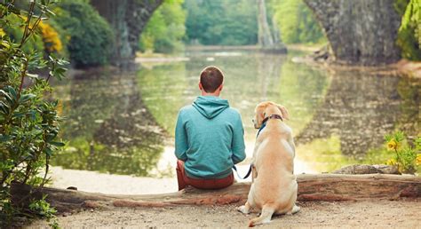 The Inseparable Connection: Exploring the Relationship between Humans and Canine Companions