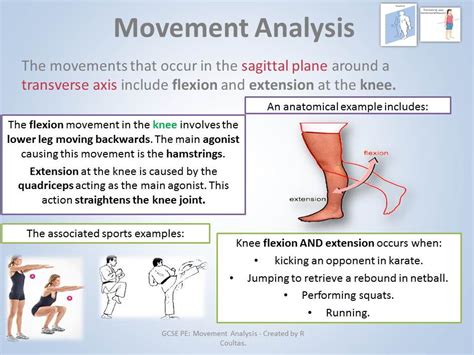 The Interpretation of Movement: Analyzing the Actions in Dreamscapes