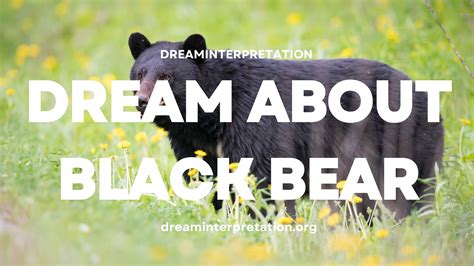 The Interrelation Between Dreams, Black Bears, and Personal Growth