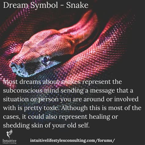 The Intricacies of Serpent Dreams and Their Deciphering