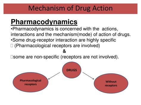 The Intricate Mechanisms of Drug-Purchasing Reveries