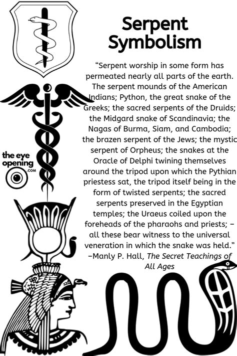 The Intricate Symbolism Explained: Deciphering the Profound Meanings Behind Visions of Fatality Caused by Serpent's Venom