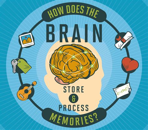 The Intricate Web of Memories: How the Inner Mind Stores and Processes Information