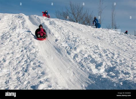 The Intrigue Surrounding Dreams of Descending and Sliding