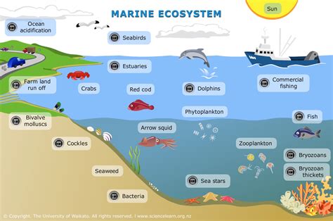 The Intriguing Link between Aquatic Environments and Culinary Fantasies