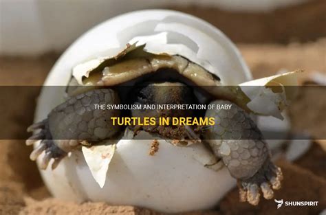 The Intriguing Symbolism of Turtle Birth Dreams