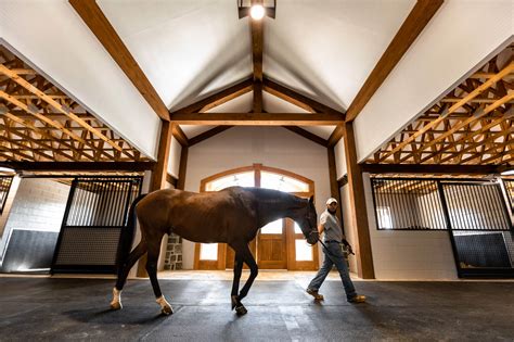 The Key Components of a Functional Equine Facility