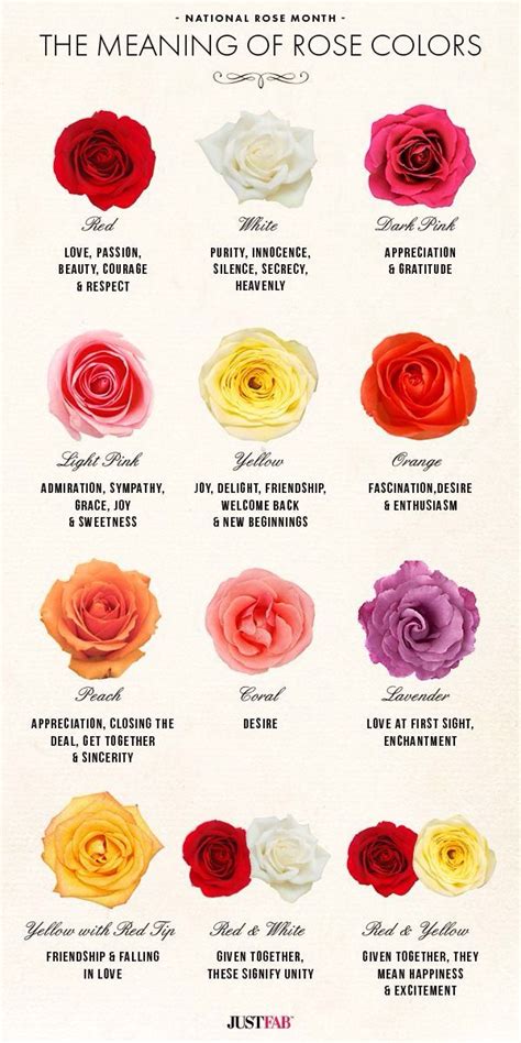 The Language of Roses: Revealing the Hidden Meanings