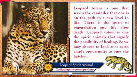 The Leopard as a Spirit Animal: