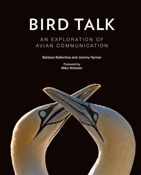 The Linguistic Marvels of Avian Vocalizations: Exploring the Varied Repertoire of Bird Calls