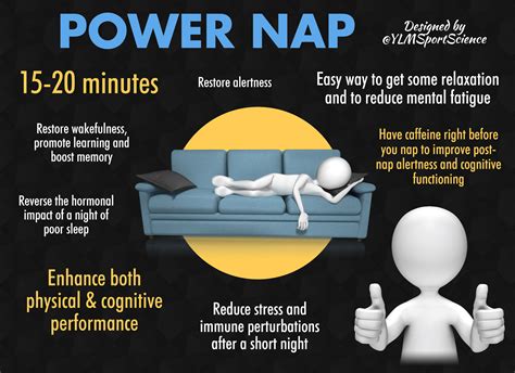 The Magic of Power Naps: Avian Sleep Efficiency