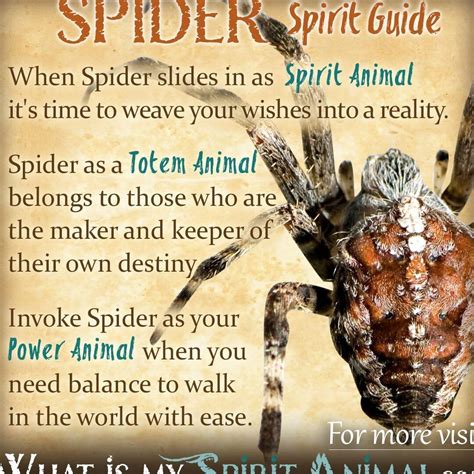 The Meaning Behind Spider Biting Finger: Unveiling the Symbolic Significance