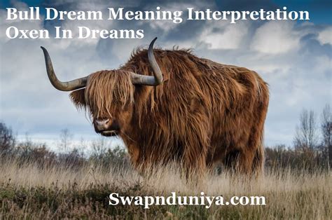 The Meaning of Fear and Bravery in Dreams Involving Bull Attacks