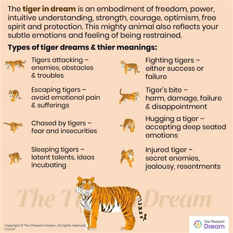 The Meaning of a Tiger in Dreams