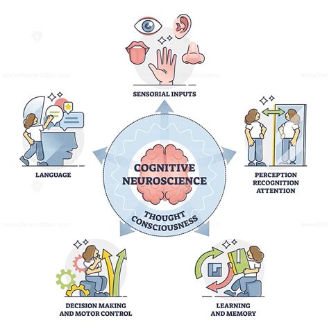 The Neuroscience of Dreams: Illuminating the Cognitive Processes