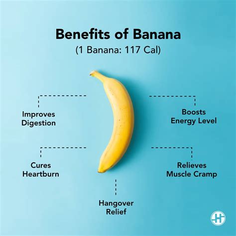 The Nutritional Benefits of Petite Bananas