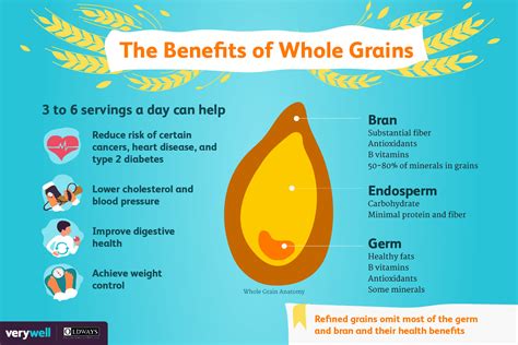 The Nutritional Benefits of Wheat and its Role in a Healthy Diet