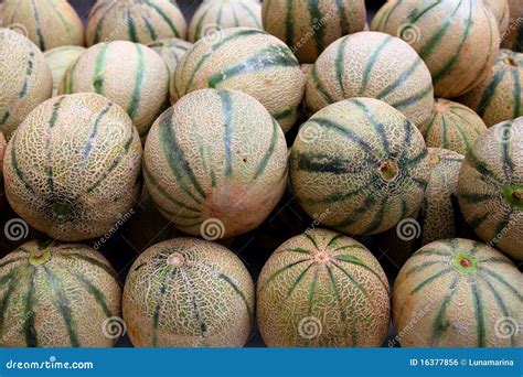 The Nutritional Powerhouse: Melons for a Healthy Lifestyle